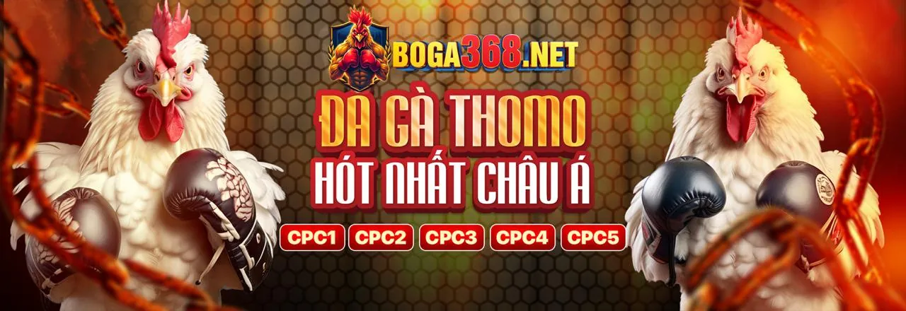 Cá Cược Thể Thao Đỉnh Cao tại tr da ga thomo